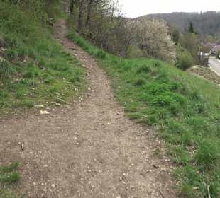 Wanderung rund um das Rusenschloss Gerhausen