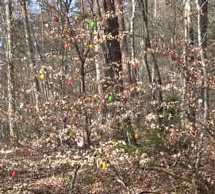 Historischer Rundwanderweg Aichtal