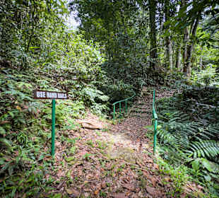 Asa Wright Nature Center