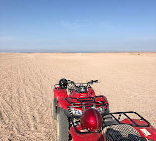 Quad Tour Safaga
