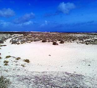 Parque Natural de las Dunas de Corralejo