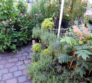 Eindrücke vom Wochenmarkt Südermarkt