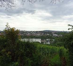 Max-Eyth-See von S-Freiberg gesehen