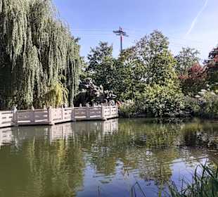 Chinesisches Teehaus im Luisenpark