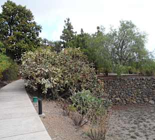 Die Pyramiden von Güimar