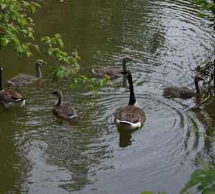 Schloss Westerwinkel 