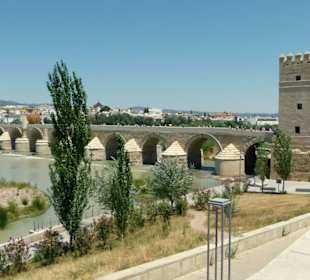 Die Brücke Puente Romano 