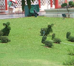 Häschen einmal anders