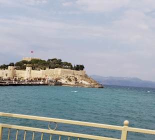 Vogelinsel / Taubeninsel