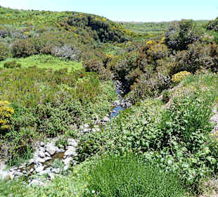 Auf der Hochebene: Ribeiro Lajeado