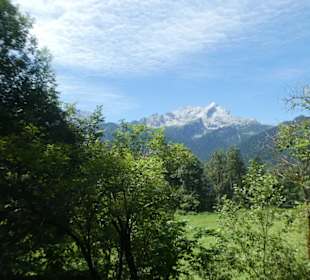 Eindrücke von unserer Wanderung am Eckbauer