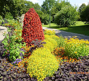 Park