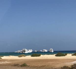 Komm mit uns nach Marsa Alam / Abu Dabbab