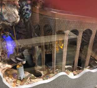 Da landet das Geld aus dem Trevi-Brunnen