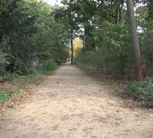 Berliner Tiergarten