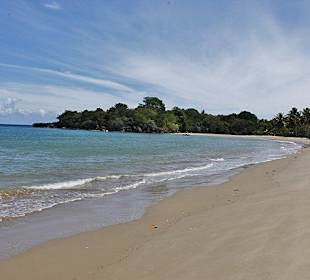 Tropical Beach Safari - Puerto Plata - DomRep Lifestyle - Ex