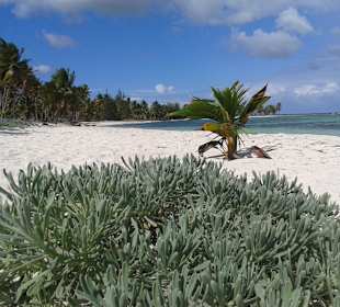 Traumhafter Strand für uns ganz allein!
