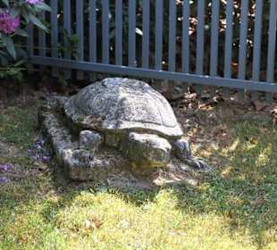 Schildkröte als Grabstein am Prinzessinnenhaus