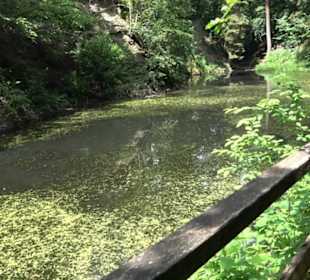 Wanderweg Märchensee Runde