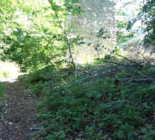 Ruine Hohenmelchingen