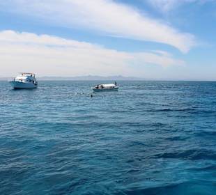  Schnorchelausflug in Hurghada-Delfin Tour 