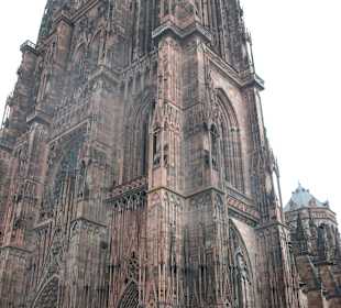 Münster