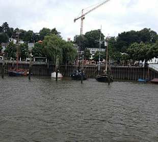 Sportsegelboote an der Elbe