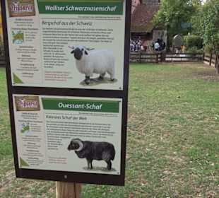 Erlebnispark Tripsdrill