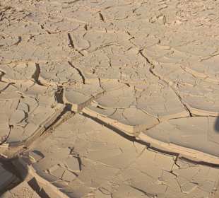 Fahrradausflug in die Wüste