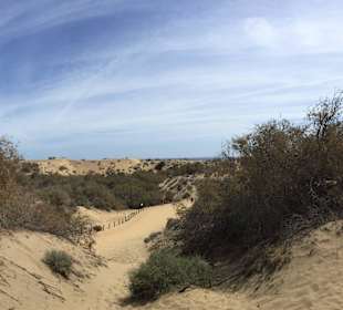 Dünen in Maspalomas