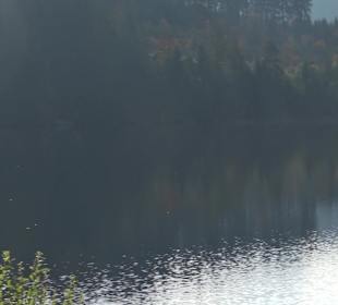 Windgfällweiher