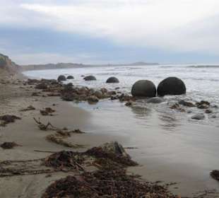 Moeraki Bucht und Boulders