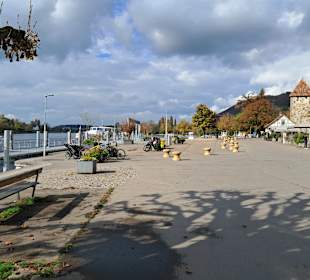 Uferpromenade Stein am Rhein