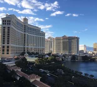 Blick vom Cosmopolitan 