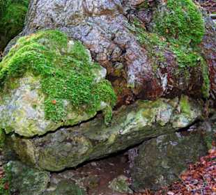 Wanderung zum Bärenfels