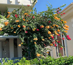 Strandpromenade Özdere