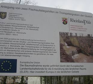 Partie an der Queich