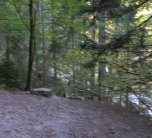 Triberger Wasserfälle