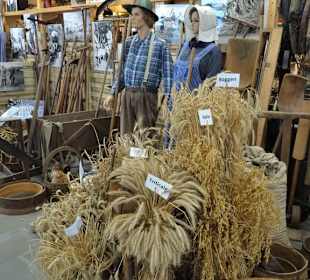 Rundgang durch "Dat lüttje Museum"