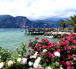 Schöne Motive am Du Lac