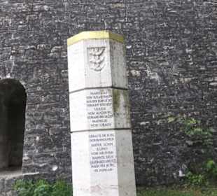 Stauferstele Nr. 25 - Burg Hohen Neuffen