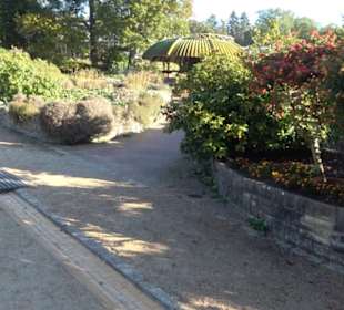 Botanischer Garten