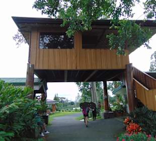 Doka Estate Kaffeeplantage