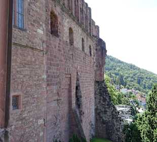 Schloss Ein- und Ausblicke