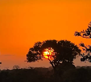 Sonnenaufgang Tsavo East