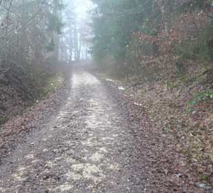 Auernheimer Krippenweg