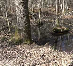 Historischer Rundwanderweg Aichtal