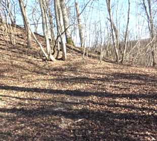 Ödenburg Oberstetten