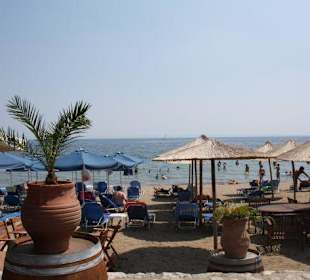 Familienstrand am Office Holidays and more