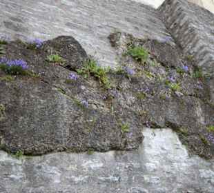 Festung Hohensalzburg